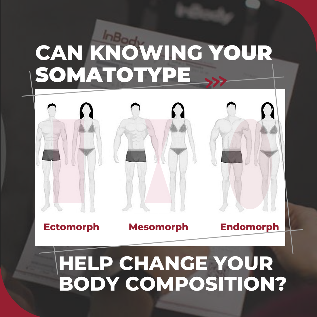 Can Knowing Your Somatotype Help You Change Your Body Composition?
