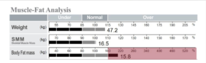 Child's Muscle-Fat Analysis