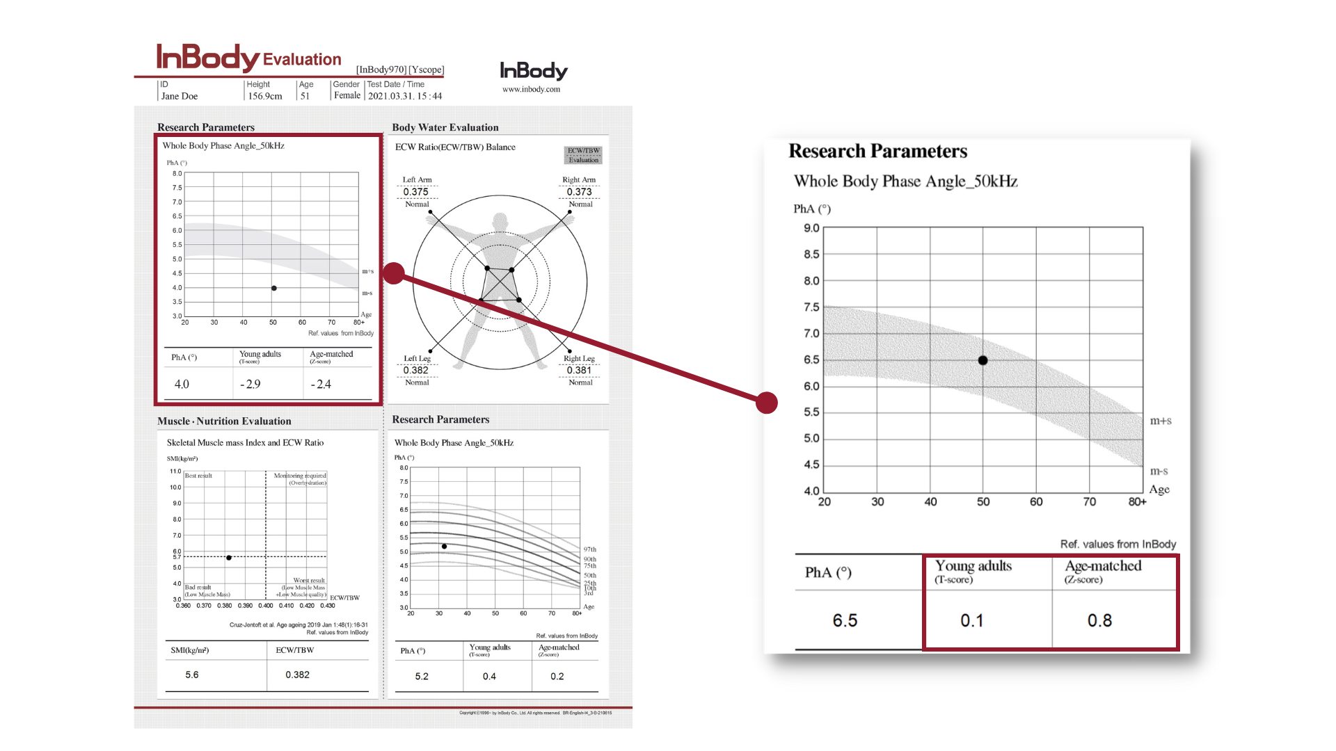 InBody Evaluation Result Sheet