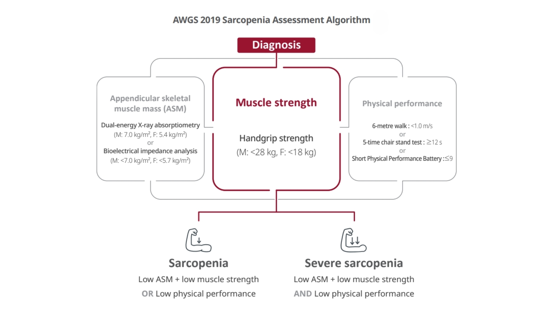 Sarcopenia Assessment based on AWGS2019
