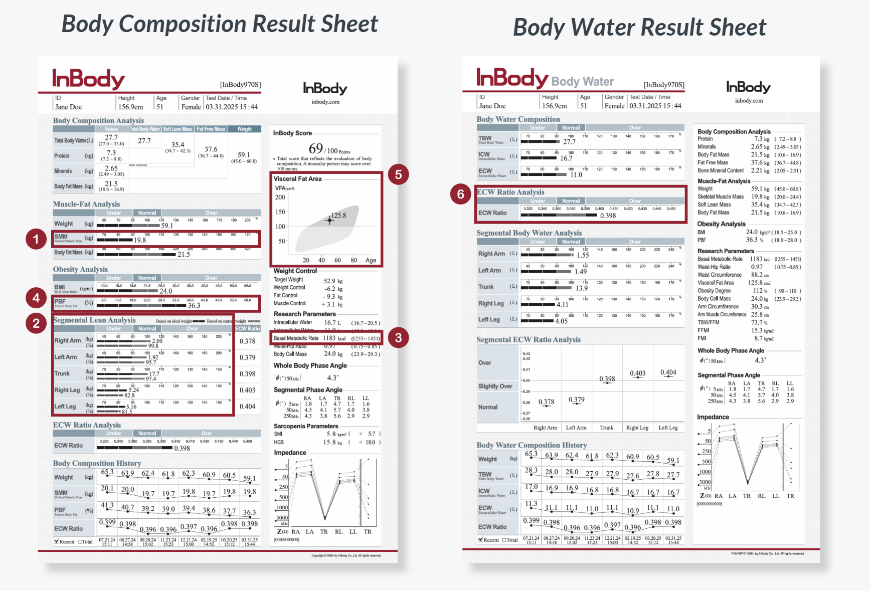 BWA2.0S Body Composition and Body Water Result Sheet