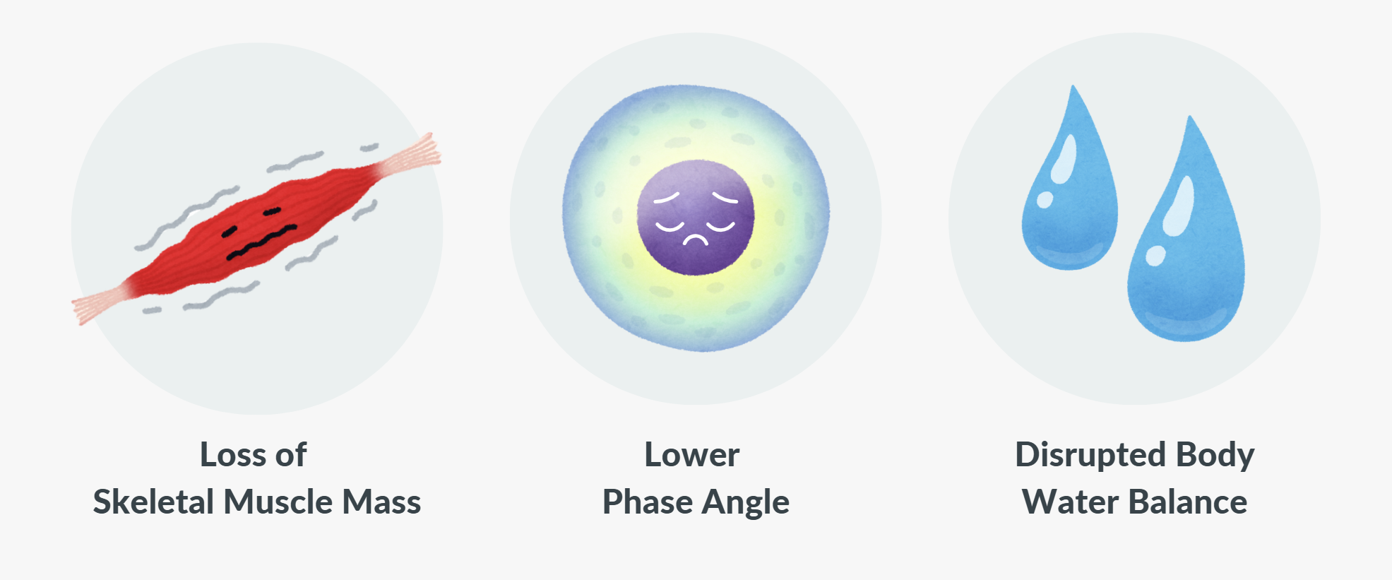How cancer affects body composition