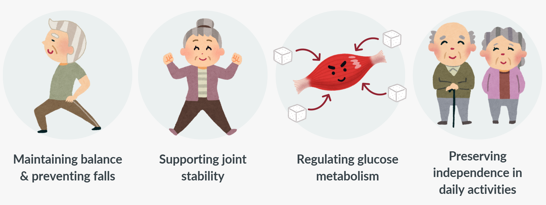 Importance of muscle in our body