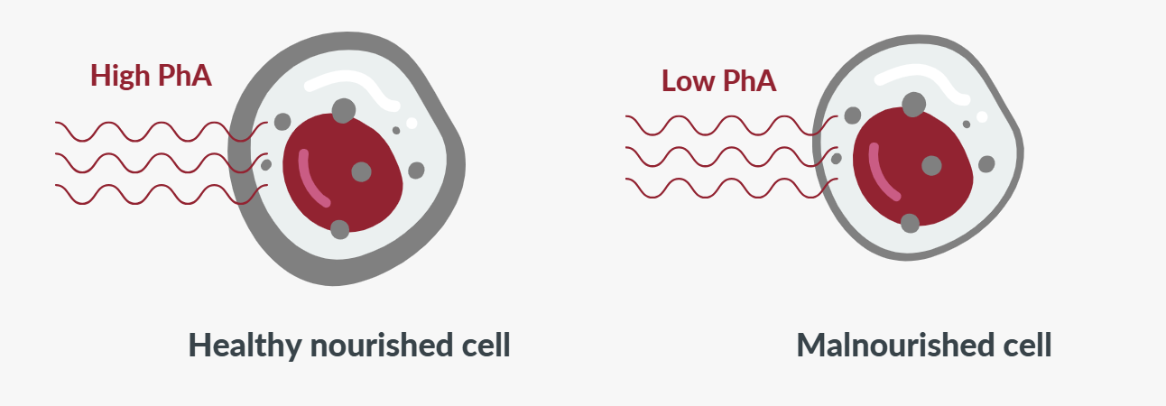 Difference between high Phase Angle and low Phase Angle
